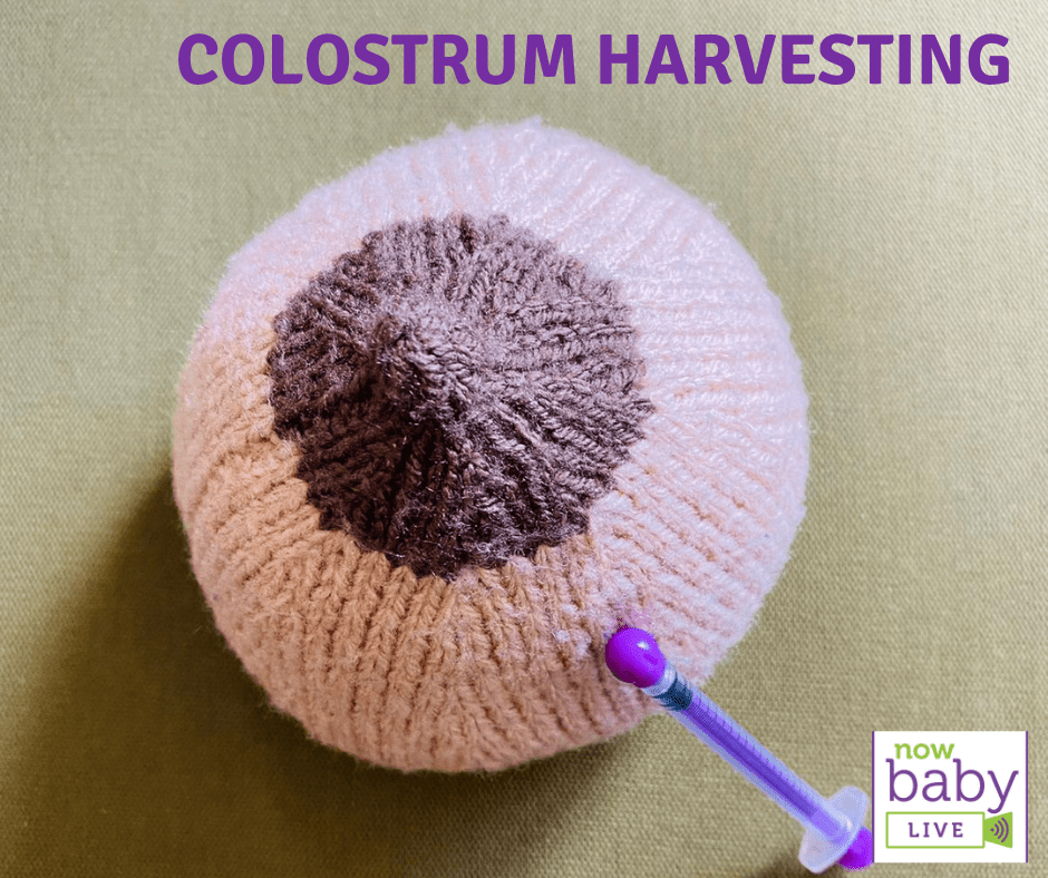 Colostrum Harvesting